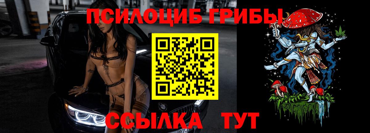Галлюциногенные грибы Psilocybe Десногорск